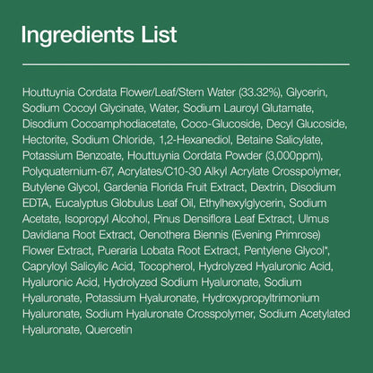 Anua Heartleaf Quercetinol Pore Deep Cleansing Foam 150ml